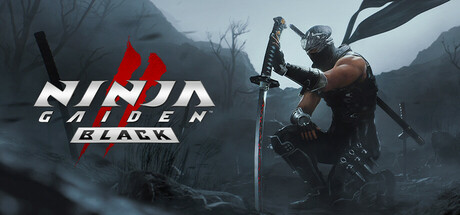 Ninja Gaiden 2 Black Trainer